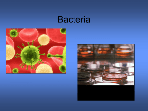 Bacteria - wsscience