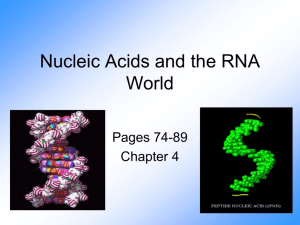 Nucleic Acids and the RNA World