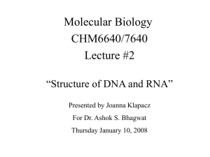 DNA RNA