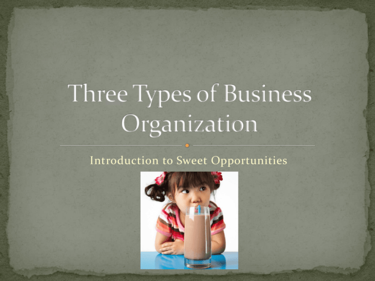 Three Types Of Business Organization