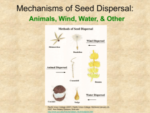 Mechanisms of Seed Dispersal: