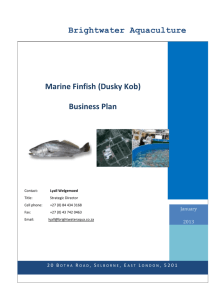 Executive Summary - Brightwater Aquaculture