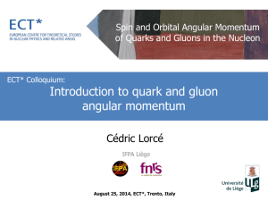 Introduction to quark and gluon angular momentum