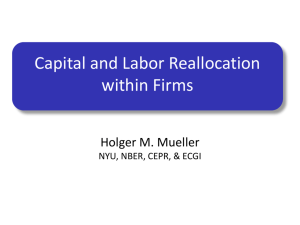 Mueller Keynote St. Gallen Capital and Labor Reallocation within