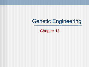 Genetic Engineering Chapter 13