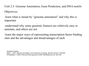 Genome Annotation—Transcription Factors