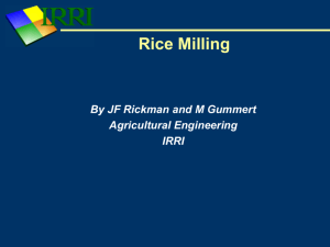 Rice Milling - Rice Knowledge Bank