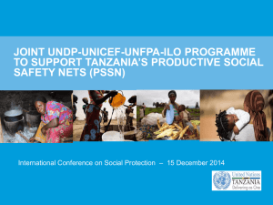 Joint UNDP-UNICEF-UNFPA-ILO programme to support Tanzania's