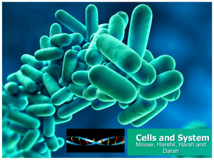 Cells and Systems 1