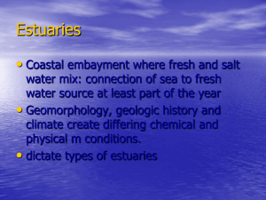 Estuaries