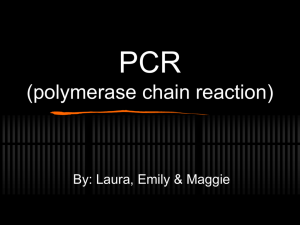 PCR - ecrimescenechemistrymiller