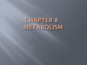 Chapter 6 - metabolism