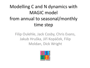 Modelling C and N dynamics with MAGIC model from annual to