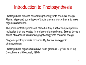 Photosynthetic studies