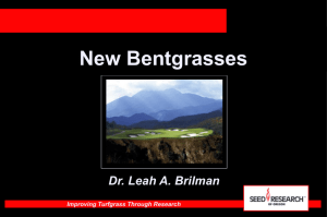 New Bentgrasses - Pesticide Truths