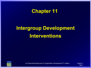 Chapter 11 Intergroup Development Interventions