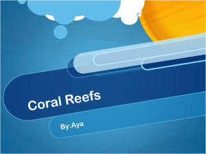 Coral Reefs - Wikispaces