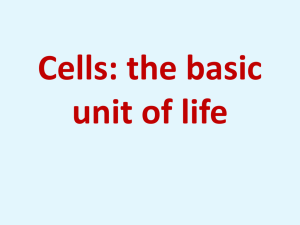 Cells the basic unit of life_PPT