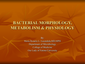 bacterial morphology, metabolism & physiology