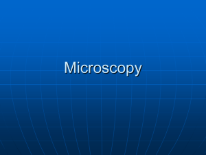 Microscopy KE - WordPress.com