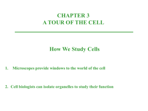 2. Cell biologists can isolate organelles to study their functions