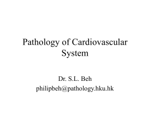 Pathology of Cardiovascular System