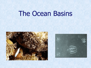 The Ocean Basins
