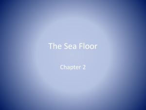 The Sea Floor