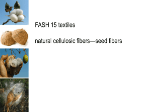 Seed Fibers