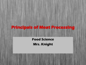Basic Processing Procedures