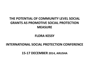 The potential of community level social grants as promotive
