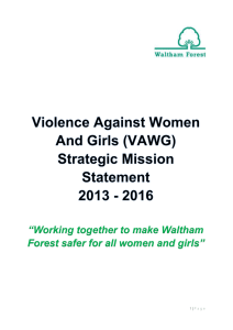 Domestic Violence - VAWG Strategic Mission Statement