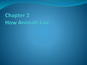 Chapter 2: How Animals Live
