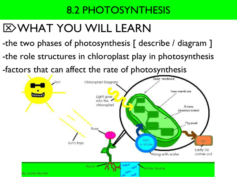 Chapter 9 Energy In A Cell