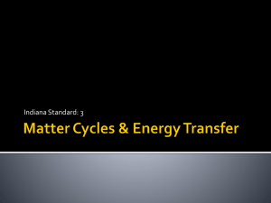 Matter Cycles & Energy Transfer