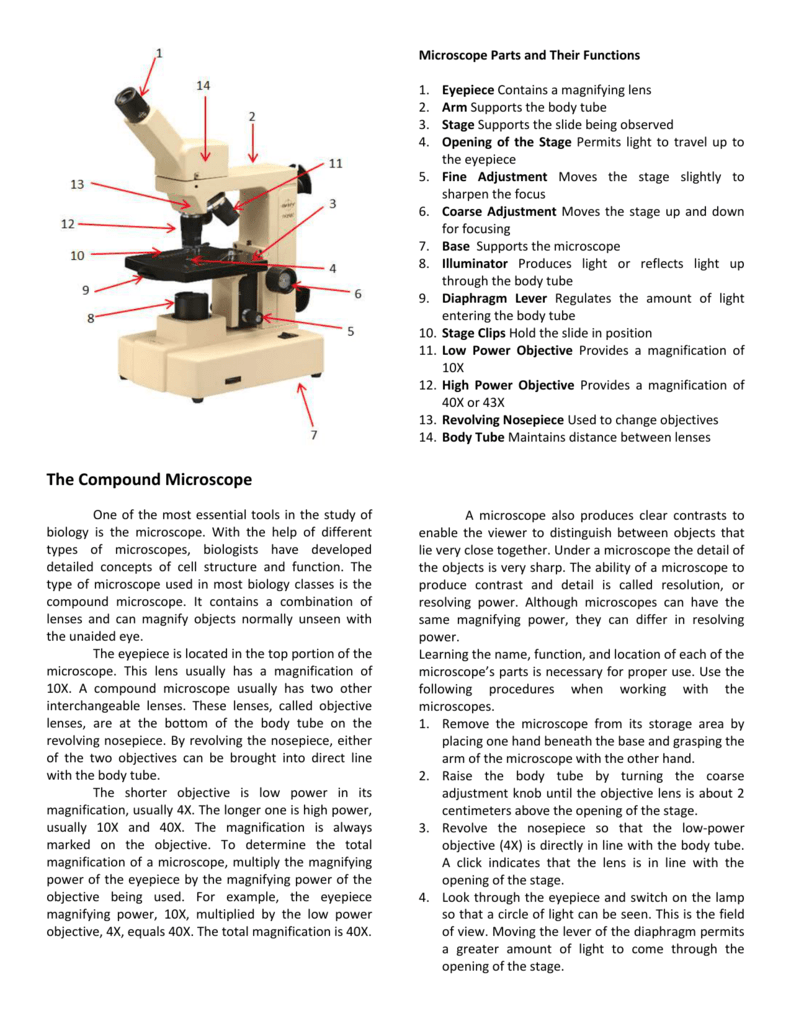 components of microscope and their function