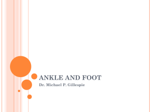 Kinesiology11_Ankle_Foot1