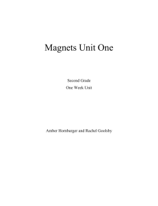 Magnet Unit Plan (1)