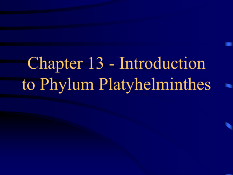 platyhelminthes ppt)