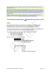 Hospital Foundation Operational Plan Template