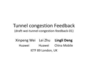 Tunnel congestion information feedback