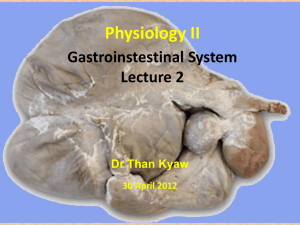 Physiology III Gastroinstestinal System
