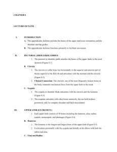 ch08 outline