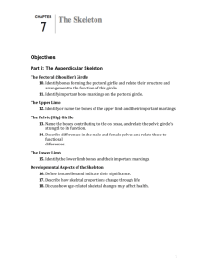 Objectives Part 2: The Appendicular Skeleton