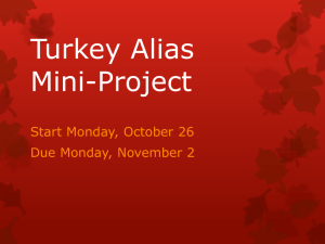 Alias Turkey mini