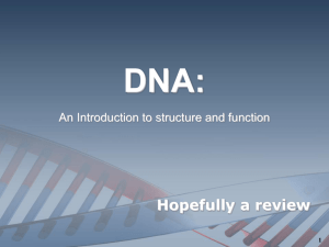 DNA PowerPoint Lecture 1