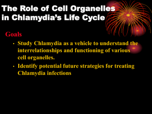 The Role of Cell Organelles