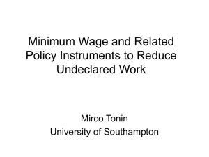Minimum Wage and Related Policy Instruments to