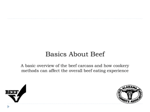 Basics About Beef