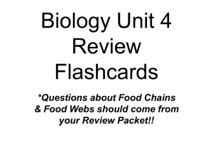 Biology Unit 4 Review Flashcards